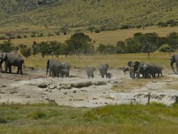 Seronera_and_Lobo2003-036